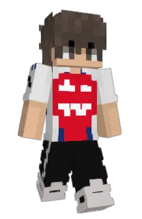 Front of Santip's skin