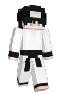 bochaa's Minecraft skin