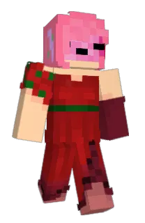 Front of ZUBIRU's skin