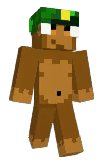 Front of TMIMI5000's skin