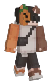 Front of xKolerkoj's skin
