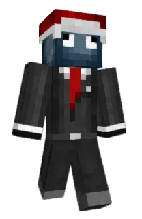 Front of Bussola's skin