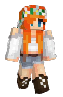 yarnedk433's Minecraft skin