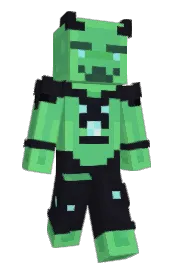 Skin preview