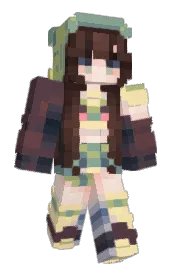Skin preview