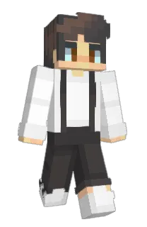 austvn's Minecraft skin