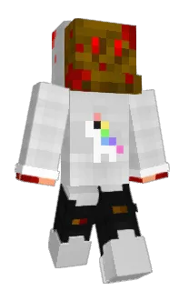 Front of FnSkill's skin