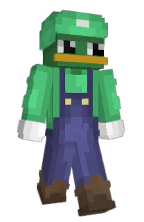 Front of jmri's skin