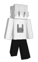 cod gray and wild sand Minecraft skin — Classic model