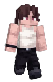Front of PhenomiD's skin