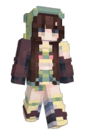 Skin preview