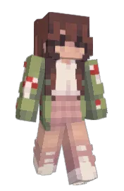 Skin preview