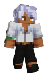 Front of naaok's skin