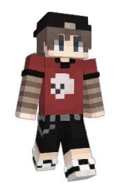 Skin preview