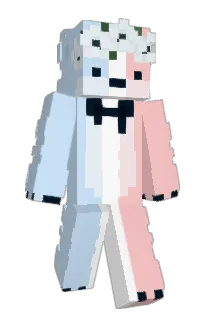HiImJelly's Minecraft skin