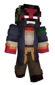 Skin preview