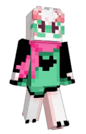 Skin preview