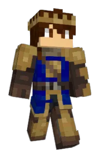 Front of error_accmissing's skin