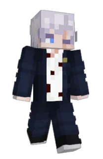 Front of ICPL14's skin