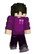 Zedantic