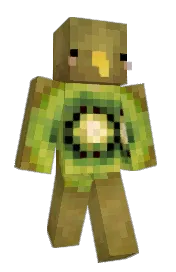 Skin preview