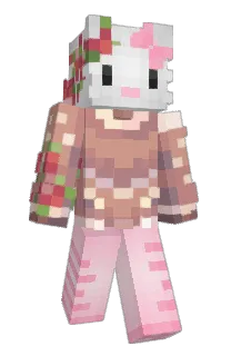 Front of Ciachoz's skin