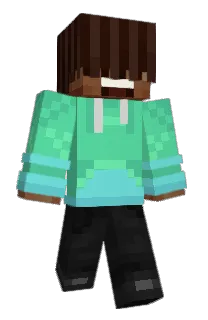 Front of PtakopyskCZ's skin