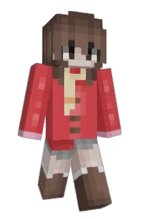 Front of Ev4005's skin
