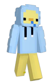 Front of ahboba's skin