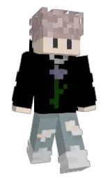 skyblueduck's Minecraft skin wearing the Migrator cape