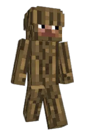 Skin preview