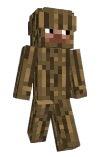 Front of Jeqx's skin