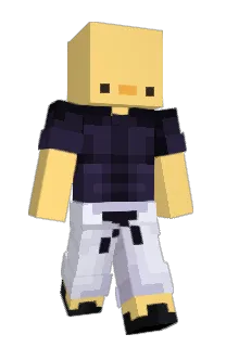 Front of ilyPato's skin