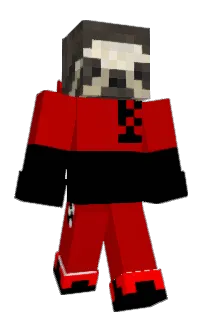 Front of CoolLus's skin