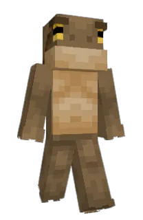 Front of Minecraft skin