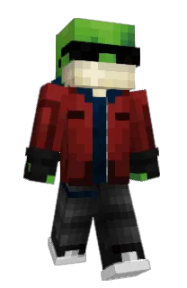 Front of Lidzard's skin