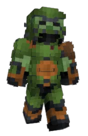 Skin preview
