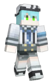 Skin preview