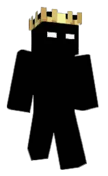 black and deep fir Minecraft skin — Classic model