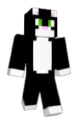 FlowerCat6