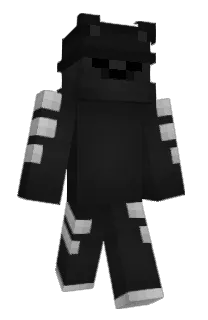 Front of Blerxi's skin