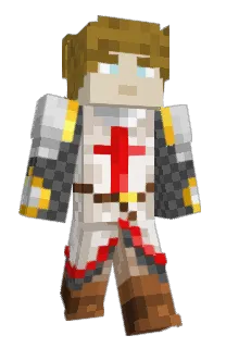 9rig's Minecraft skin