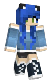 Skin preview
