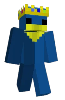 Front of Roizor's skin