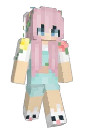 Skin preview