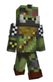 Skin preview