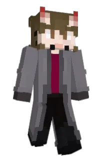 Front of ashvinities's skin