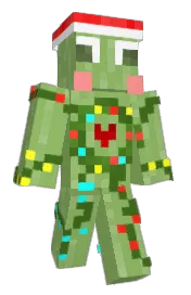 Skin preview