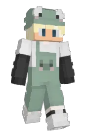 Skin preview