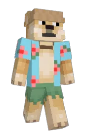 Skin preview